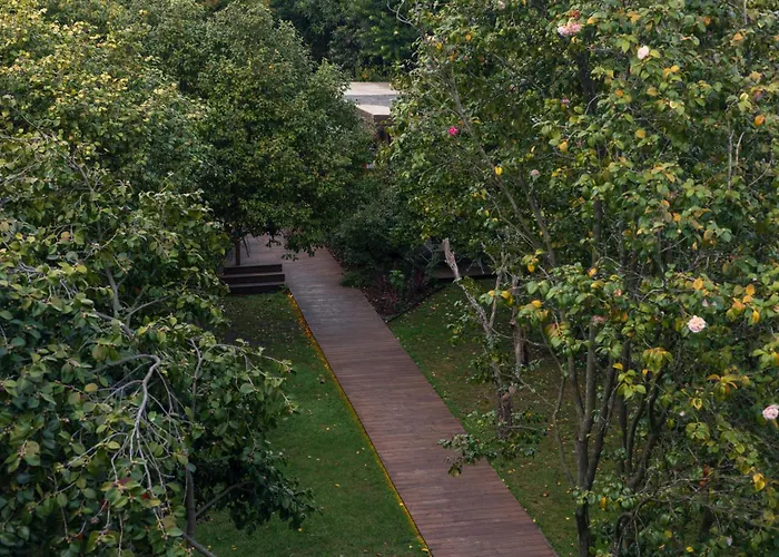 Bed and Breakfast Oporto Loft